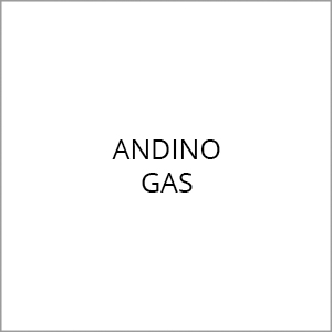 andino-gas                           